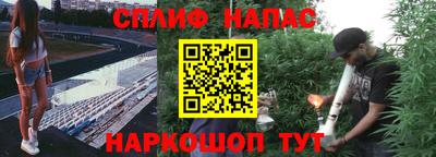 гидропоника Рязань