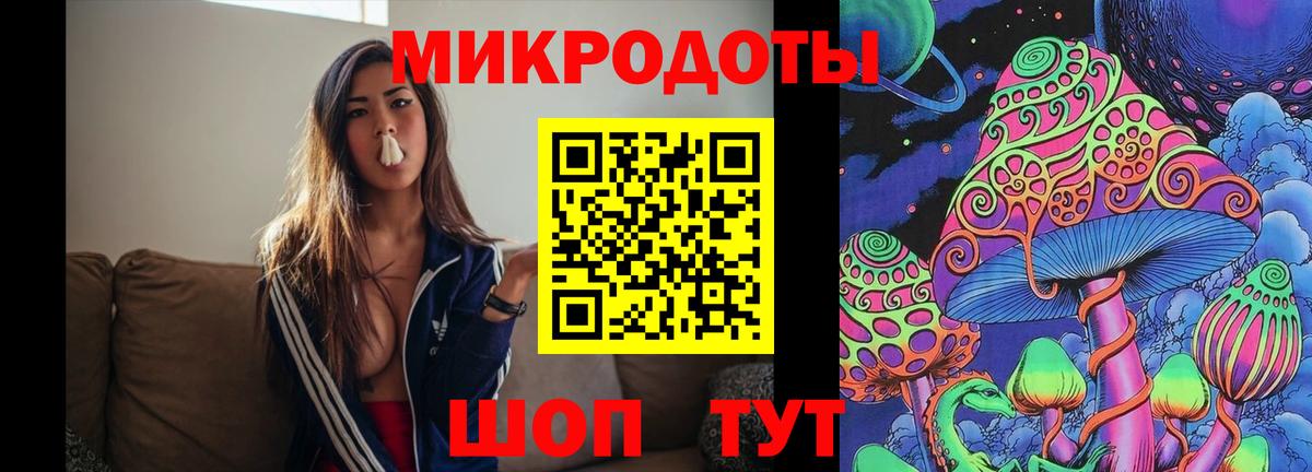Галлюциногенные грибы Psilocybe Орехово-Зуево
